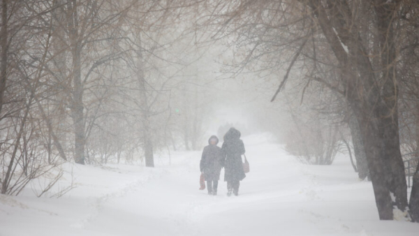 Сильный ветер ожидается в Татарстане в четверге на этой неделе 12/02/2026 &ndash; Новости