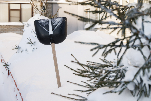 Wildberries: в&nbsp;Татарстане в&nbsp;20 раз вырос спрос на&nbsp;лопаты и&nbsp;в&nbsp;50 раз&nbsp;&ndash; на&nbsp;снегоуборочные машины