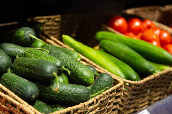 Росстат: самые дешевые огурцы в январе 2026 года продавались в Адыгее