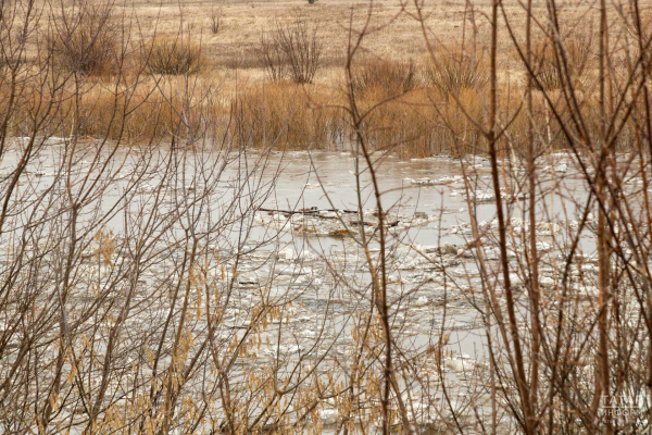 В Казани половодье грозит прежде всего Советскому, Кировскому и Приволжскому районам