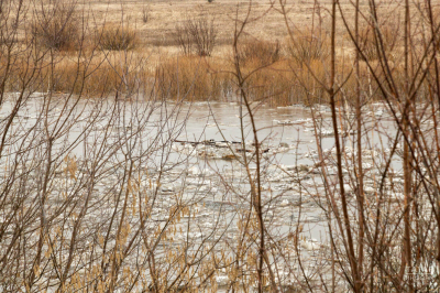 В Казани половодье грозит прежде всего Советскому, Кировскому и Приволжскому районам