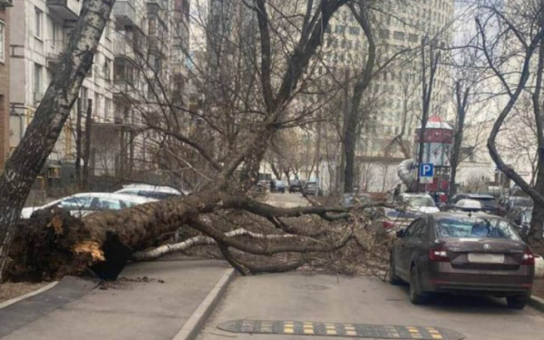 Ураган унес жизни двух человек в Москве