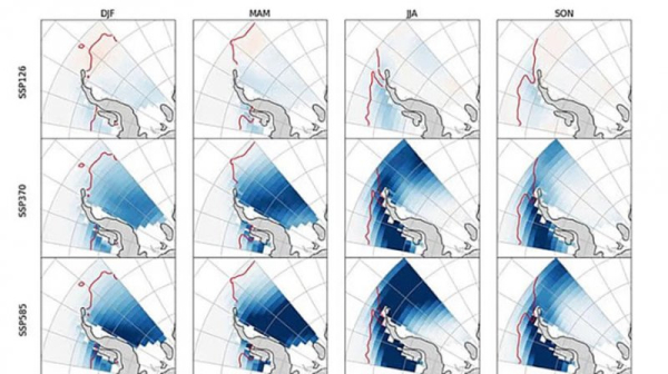 Антарктида может растаять на 20% к 2100 году