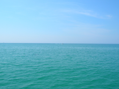 Трамп: ВМС США начнут сопровождать танкеры в Ормузском проливе