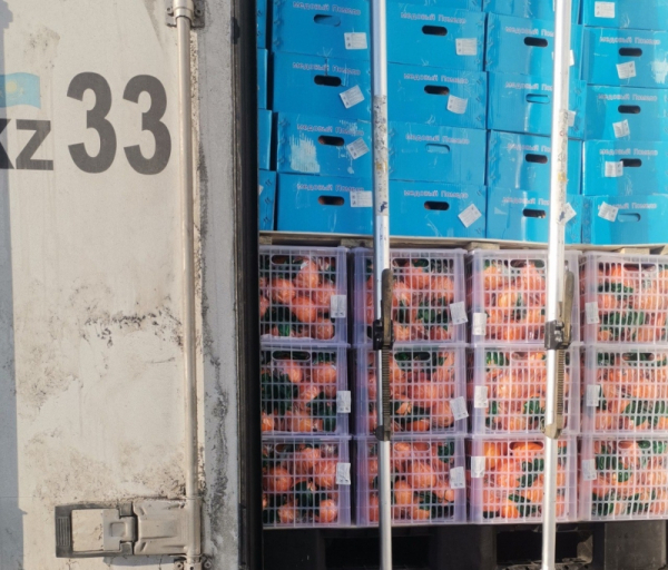 Более 600 тонн фруктов и овощей ввезли в Челябинскую область через казахстанскую границу