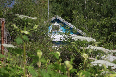 За нескошенную траву дачникам грозит штраф в 10 тысяч рублей