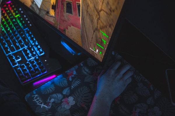 ТАСС: Роскомнадзор не получал решений по блокировке Minecraft