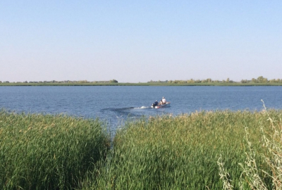 Свыше 870 объектов переведено в государственную собственность