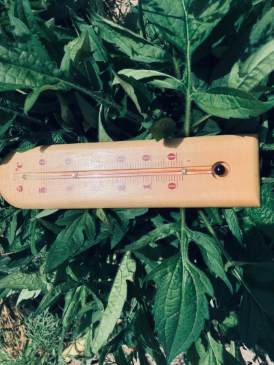 Жара до +43°C и резкое похолодание: где и когда ждать погодных аномалий