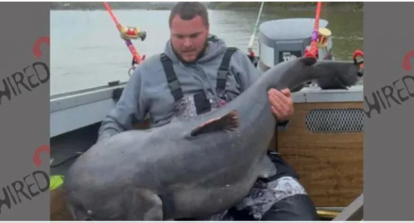 Рыбак поймал гигантского сома и отказался от рекорда ради природы