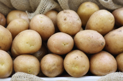 В Нижегородской области планируют вырастить 412 тыс. тонн картофеля