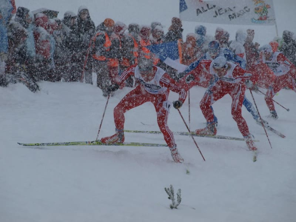 Три собаки выбежали на марафонскую трассу на Сахалине и сбили двух лыжниц