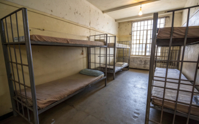 Сколько заключенных вышли на свободу по амнистии