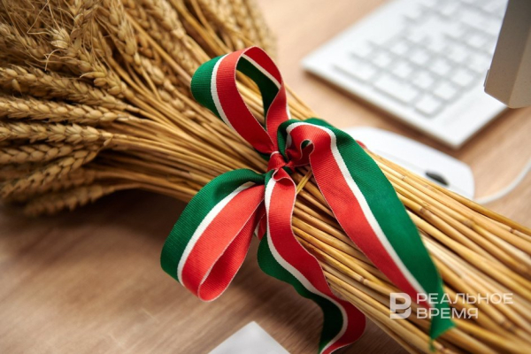 Казанский и китайские ученые создали препарат для увеличения урожайности пшеницы