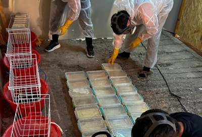 Крупную лабораторию по производству мефедрона ликвидировали в Таразе