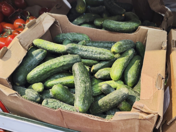 В Петербурге килограмм огурцов обходится дороже шавермы
