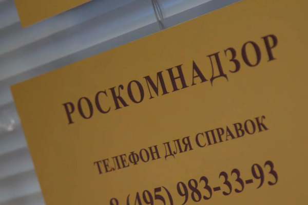 РБК: Роскомнадзор начнёт ограничение работы мессенджера Telegram