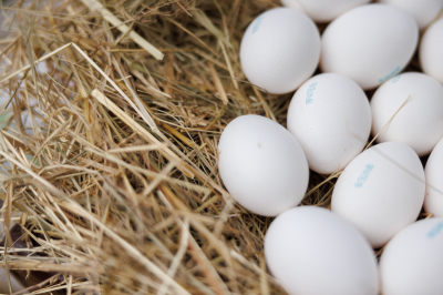 В&nbsp;Татарстане за&nbsp;неделю яйца подорожали почти на&nbsp;4% перед Пасхой - ФАС предостерегала от&nbsp;наценок