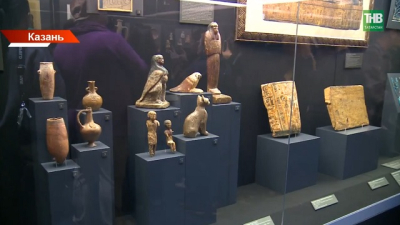 К 131‑летию Национального музея: в Казани представили уникальную выставку &laquo;Кабинет редкостей&raquo;