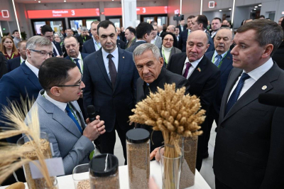 В зерне зарыты миллиарды: аграриям Татарстана показали скрытые резервы отрасли