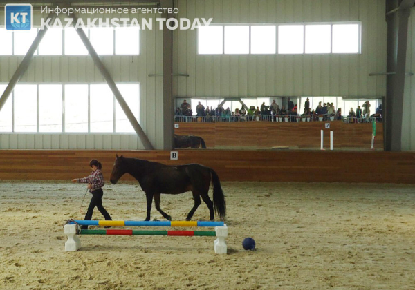 За судьбу алматинского ипподрома опасаются жители города - депутат