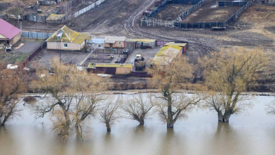 Не подлежат восстановлению: больше полутысячи домов полностью разрушили паводки на севере Казахстана