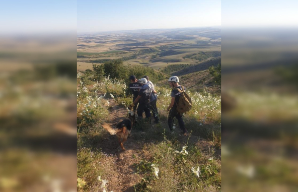 В Туркестанской области спасен дедушка