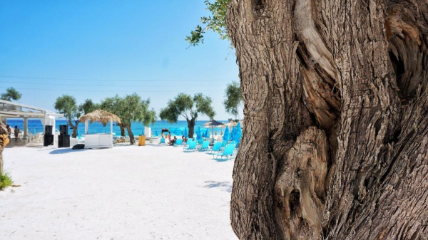 Врач Еременко назвал лучшие месяцы для отпуска с точки зрения здоровья