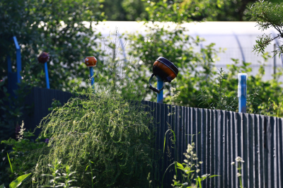 Татарстанца оштрафовали за заросший сорняком участок