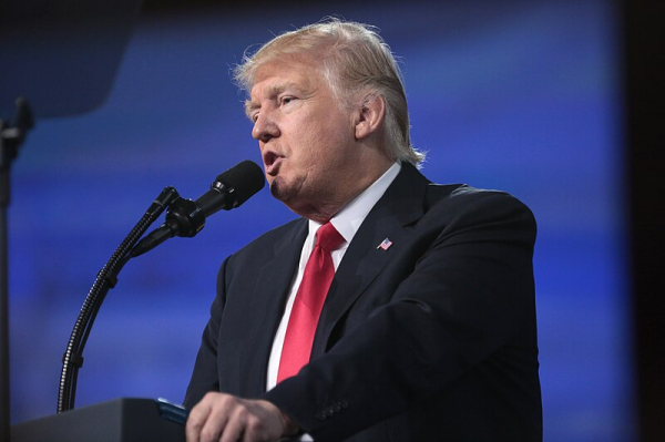 Politico: Смягчение риторики Трампа стало серьезным шагом для НАТО