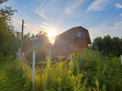 Новосибирцам грозит штраф за выращивание картошки на даче