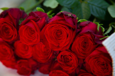 Аналитик Ульянов: Курьеры с цветами на 8 Марта не просят коды из СМС