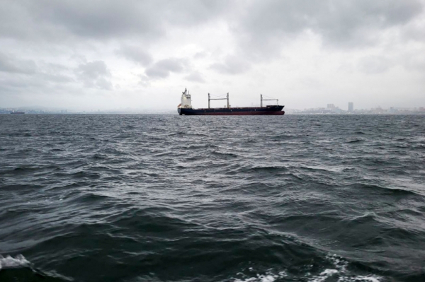 FT: Франция хочет добиться от Ирана разрешения на пропуск судов через Ормузский пролив