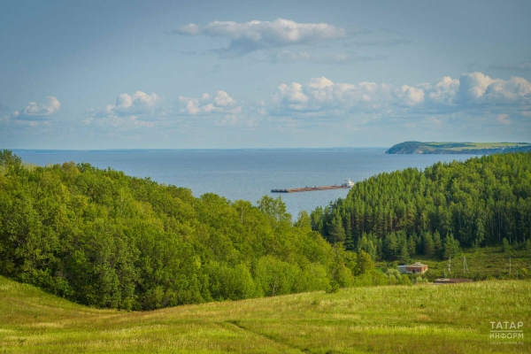 Названы лучшие лесхозы Татарстана по объемам ухода за лесными культурами