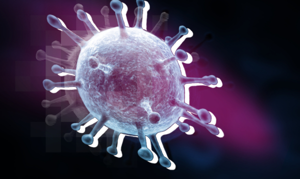 Глава Россельхознадзора прибыл в Новосибирск из-за вспышки болезней скота