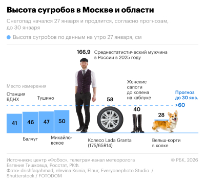 Два корги в высоту: сколько снега выпадет в Москве и области. Инфографика