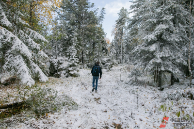 Появились новые детали по делу об исчезновении Усольцевых