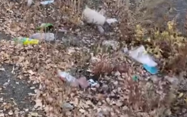 Народный репортер. На Каргалинском как на свалке