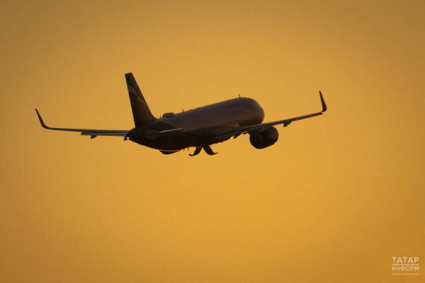 Минниханов обсудил возможность открытия прямых авиарейсов с главой VietJet Air