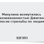 Мизулина возмутилась безнаказанностью Джигана после стрельбы по людям