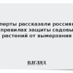 Эксперт рассказала россиянам о правилах защиты садовых растений от вымерзания