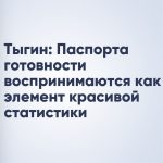 Тыгин: Паспорта готовности воспринимаются как элемент красивой статистики