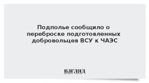 Подполье сообщило о переброске подготовленных добровольцев ВСУ к ЧАЭС