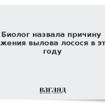 Биолог назвала причину снижения вылова лосося в этом году
