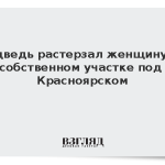 Медведь растерзал женщину на собственном участке под Красноярском