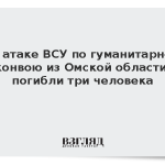 При атаке ВСУ по гуманитарному конвою из Омской области погибли три человека