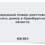 Природный пожар уничтожил десять домов в Оренбургской области