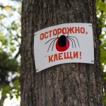 В Татарстане с начала сезона от клещей пострадали почти 10 тыс. человек