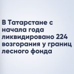 В Татарстане с начала года ликвидировано 224 возгорания у границ лесного фонда