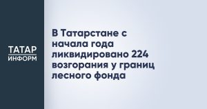 В Татарстане с начала года ликвидировано 224 возгорания у границ лесного фонда